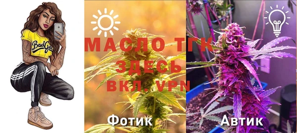индика Абдулино