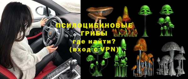 индика Абдулино